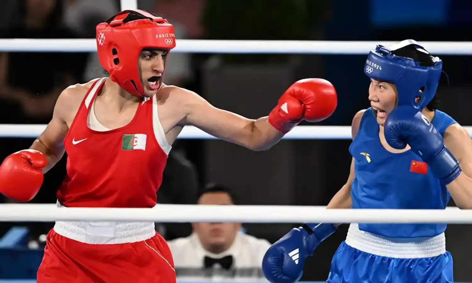 Paris Olympic Controversy