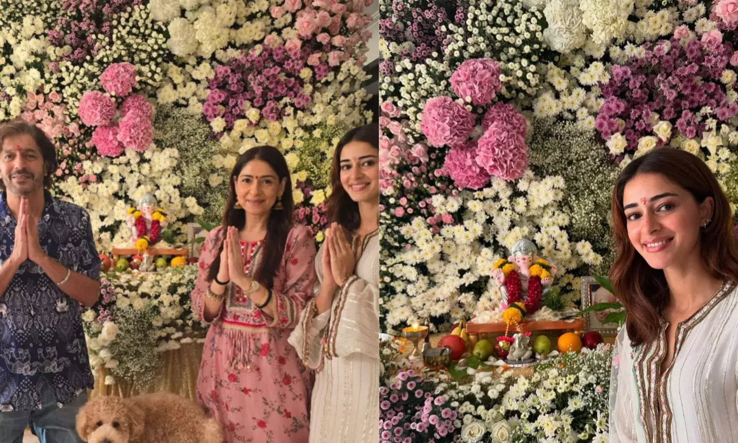 सितारों के घर गूंजे बप्पा के जयकारे; अनन्या, बिपाशा से लेकर अंकिता लोखंडे तक, सेलेब्स ने बप्पा का किया स्वागत