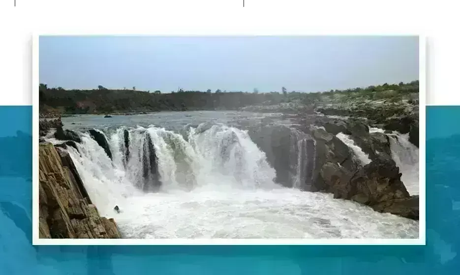 नर्मदा संरक्षण हेतु विश्वविद्यालयों की भूमिका