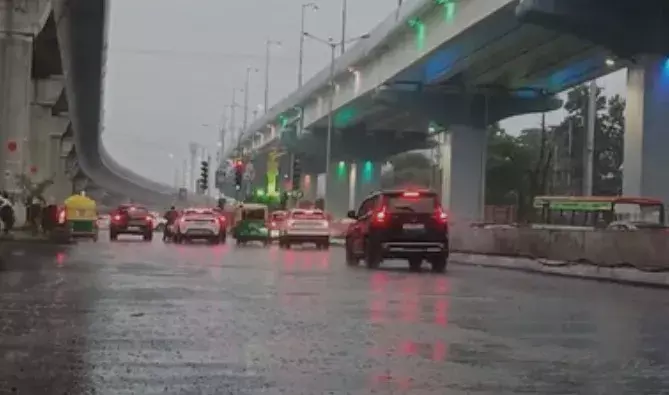 बारिश से धान को भारी नुकसान, मध्य प्रदेश के कई जिलों में खेत जलमग्न- फसलें बह गईं