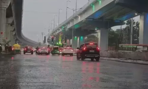 बारिश से धान को भारी नुकसान, मध्य प्रदेश के कई जिलों में खेत जलमग्न- फसलें बह गईं