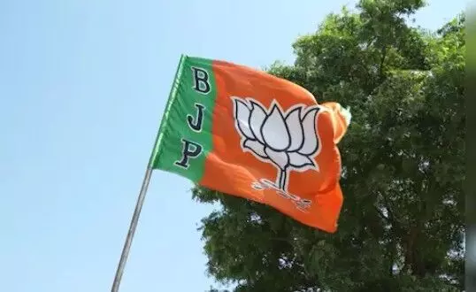 दिल्ली से तय होगा भाजपा युवा मोर्चा अध्यक्ष का नाम