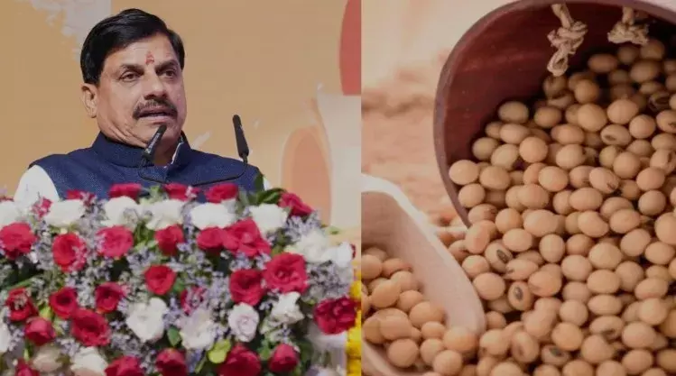 “भावान्तर योजना” में किसानों को अतिरिक्त लाभ, सोयाबीन का मॉडल रेट 4,000 रुपए से अधिक तय