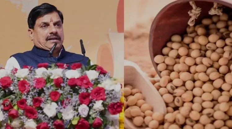 “भावान्तर योजना” में किसानों को अतिरिक्त लाभ, सोयाबीन का मॉडल रेट 4,000 रुपए से अधिक तय “भावान्तर योजना” में किसानों को अतिरिक्त लाभ, सोयाबीन का मॉडल रेट 4,000 रुपए से अधिक तय