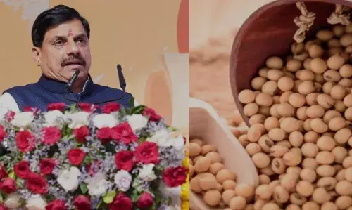 “भावान्तर योजना” में किसानों को अतिरिक्त लाभ, सोयाबीन का मॉडल रेट 4,000 रुपए से अधिक तय “भावान्तर योजना” में किसानों को अतिरिक्त लाभ, सोयाबीन का मॉडल रेट 4,000 रुपए से अधिक तय