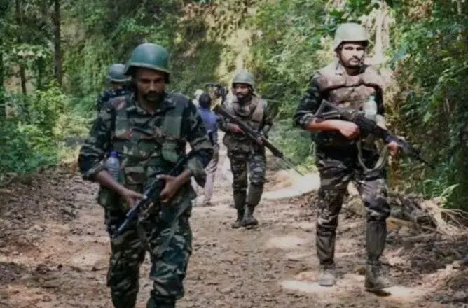 नेशनल पार्क क्षेत्र में मुठभेड़: 6 नक्सली ढेर, जवानों ने नक्सली लीडरों को घेरा