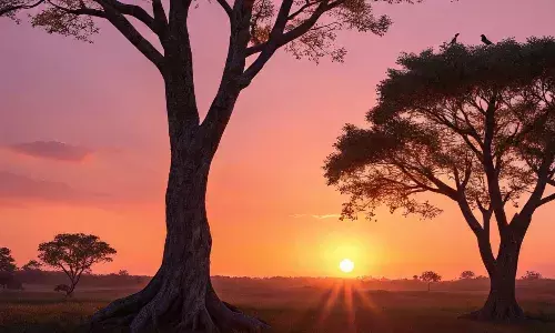 गोधूलि वेला