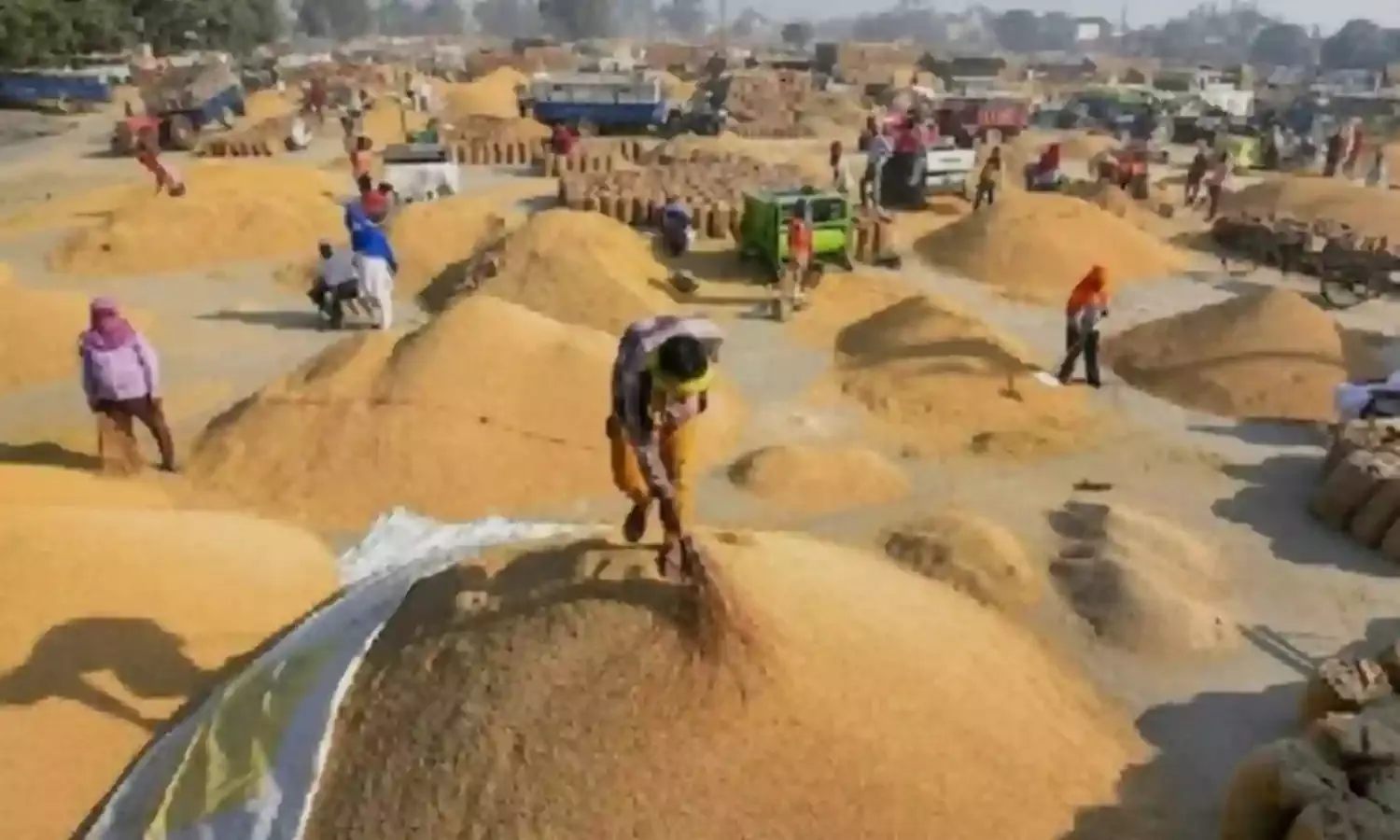 किसानों की मेहनत का सम्मान हमारा संकल्प-सीएम साय