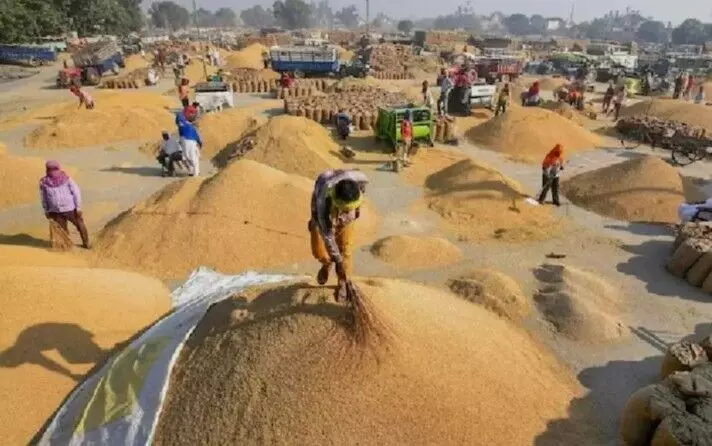 किसानों की मेहनत का सम्मान हमारा संकल्प-सीएम साय