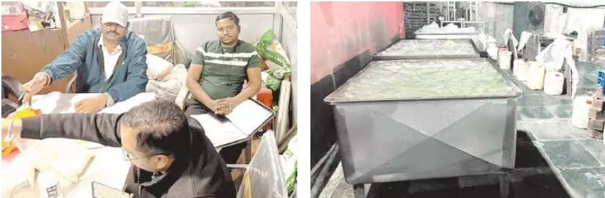 शहर में थम नहीं रहा नकली पनीर का धंधा, कार्रवाई के नाम पर सिर्फ रिपोर्ट का इंतजार