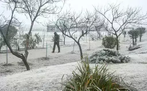 उत्तर भारत में कड़ाके की शर्दी: MP के 12 शहर 10° से नीचे, राजस्थान में शीतलहर अलर्ट