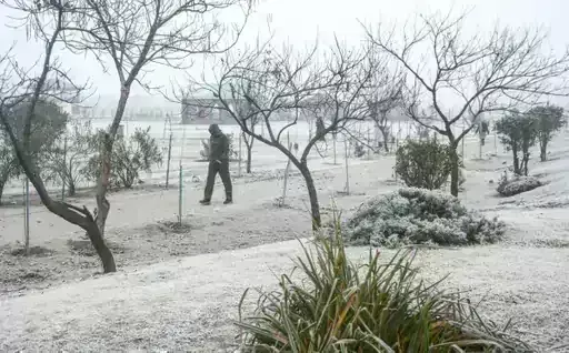 उत्तर भारत में कड़ाके की शर्दी: MP के 12 शहर 10° से नीचे, राजस्थान में शीतलहर अलर्ट