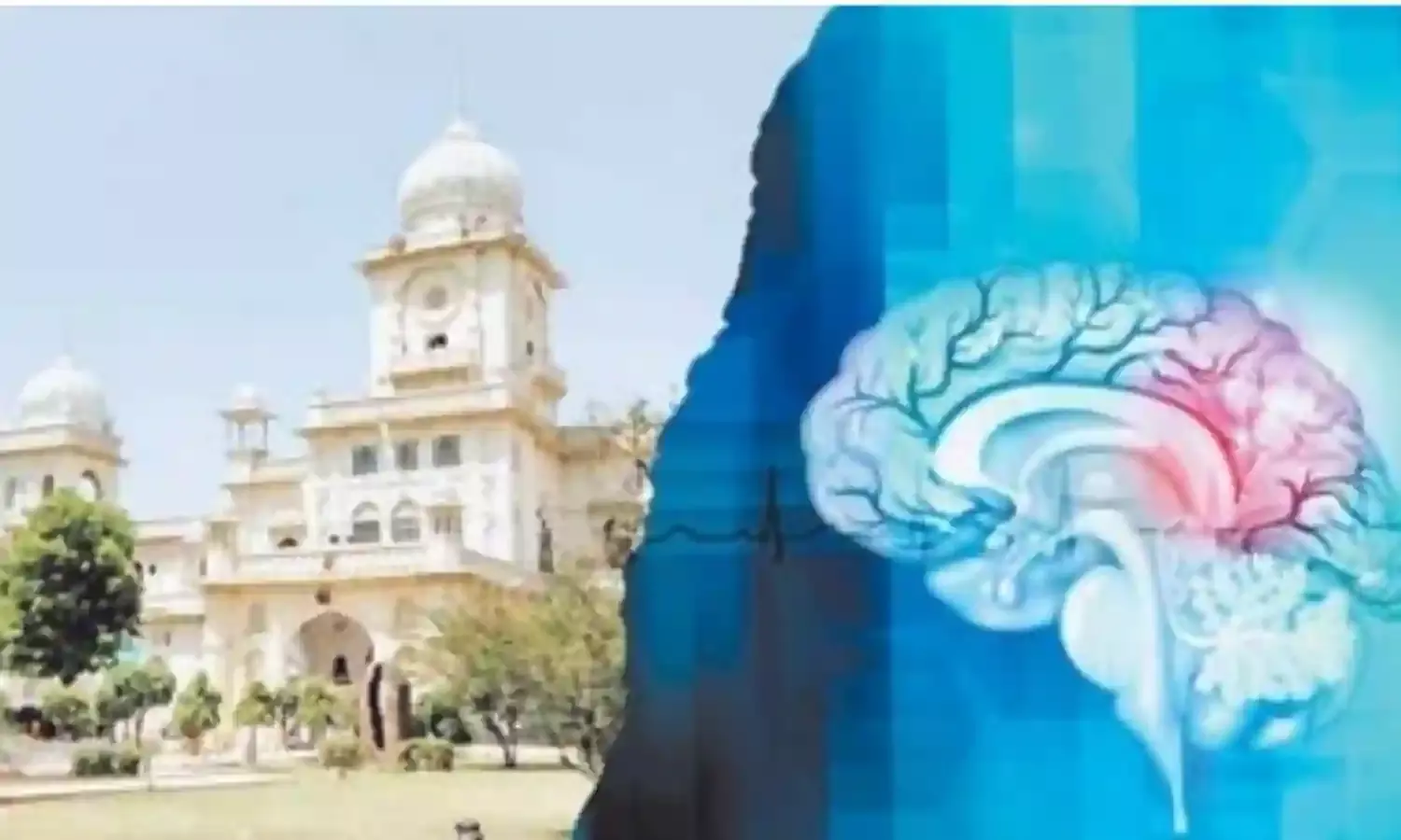 पान के पत्ते में अल्जाइमर के इलाज का नया सुराग: लखनऊ विश्वविद्यालय की बड़ी खोज