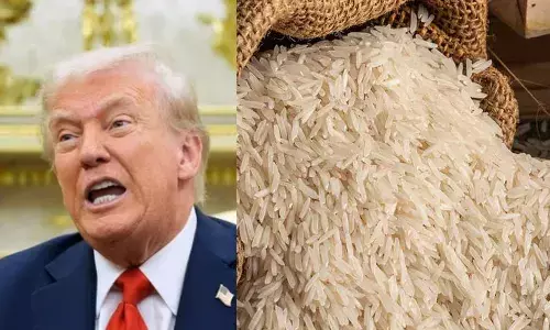 बासमती चावल को लेकर ट्रंप की नई टैरिफ धमकी: क्या भारत पर होगा इसका कोई असर? बासमती चावल को लेकर ट्रंप की नई टैरिफ धमकी: क्या भारत पर होगा इसका कोई असर?