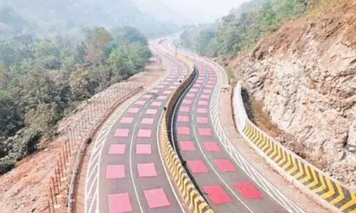 सुर्खियां बटोर रहा भारत का पहला वाइल्डलाइफ सेफ हाइवे