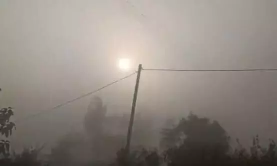 कड़ाके की सर्दी: राजस्थान-MP में 4°C तापमान यूपी के 8 जिलों में स्कूल बंद; बिहार में कोहरे से 7 मौतें