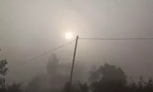 कड़ाके की सर्दी: राजस्थान-MP में 4°C तापमान यूपी के 8 जिलों में स्कूल बंद; बिहार में कोहरे से 7 मौतें
