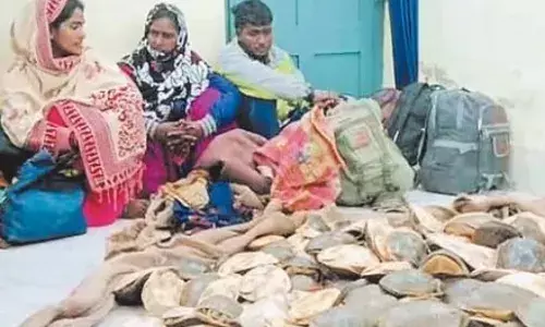 Jharkhand turtle-smuggling: ट्रेन में बैग खोलते ही RPF के उड़े होश,22 बैगों में भरे मिले 662 से अधिक प्रतिबंधित कछुए