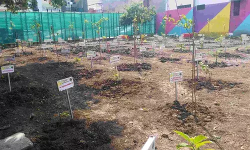 यहां रहेगा अब पक्षियों का राज: ऐसा बर्ड पार्क जहां इंसानों की NO एंट्री