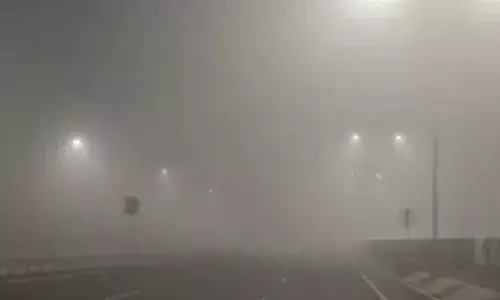 उत्तर भारत में सर्दी कोहरे और शीत लहर का ट्रिपल अटैक: 100 ट्रेनें लेट, इंडिगो की 118 फ्लाइट कैंसिल