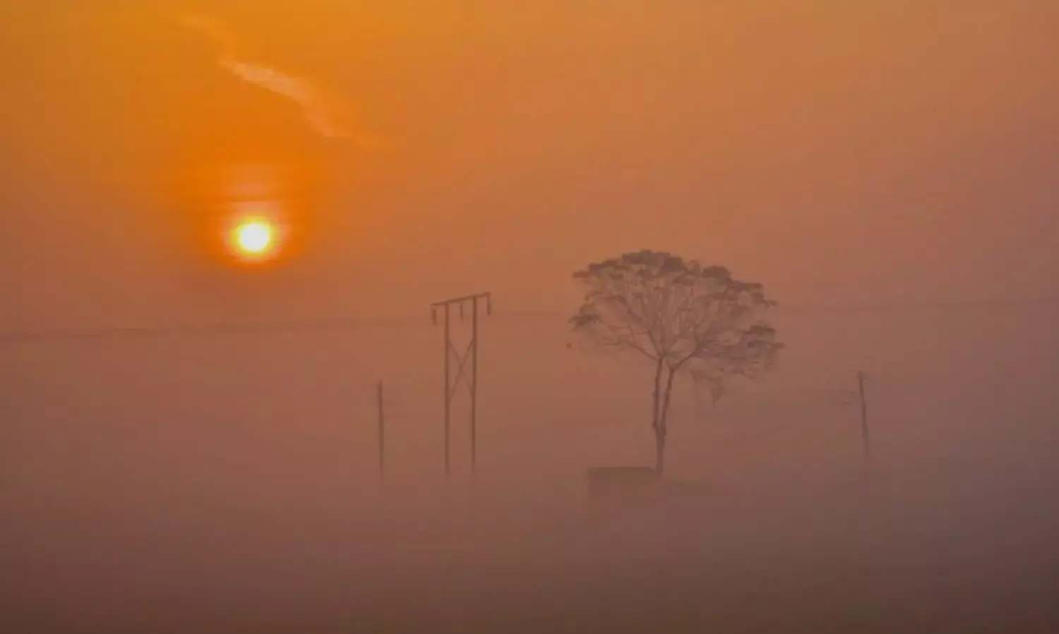 नए साल की सुबह और कोहरा में लिपटा उत्तरप्रदेश, पहाड़ी राज्यों में बर्फबारी, MP में कोल्ड डे