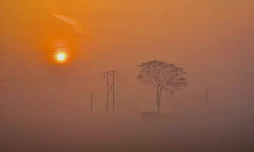 नए साल की सुबह और कोहरा में लिपटा उत्तरप्रदेश, पहाड़ी राज्यों में बर्फबारी, MP में कोल्ड डे