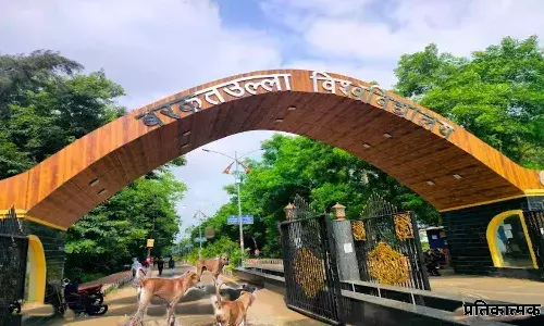 गजब MP सरकार का अजब फरमान, BU के प्रोफेसर को कुत्तों को भगाने की जिम्मेदारी गजब MP सरकार का अजब फरमान, BU के प्रोफेसर को कुत्तों को भगाने की जिम्मेदारी