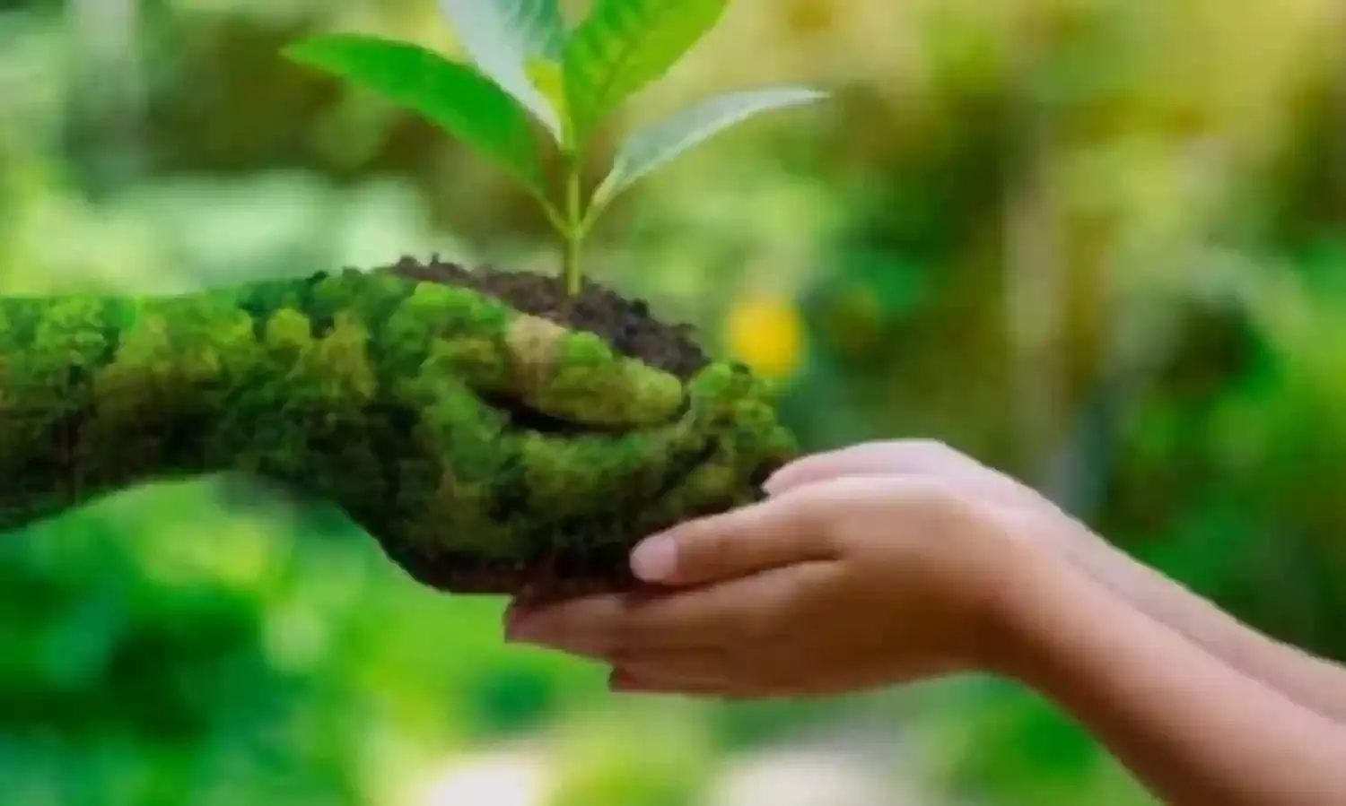 जो न समझे, वो अनाड़ी है!