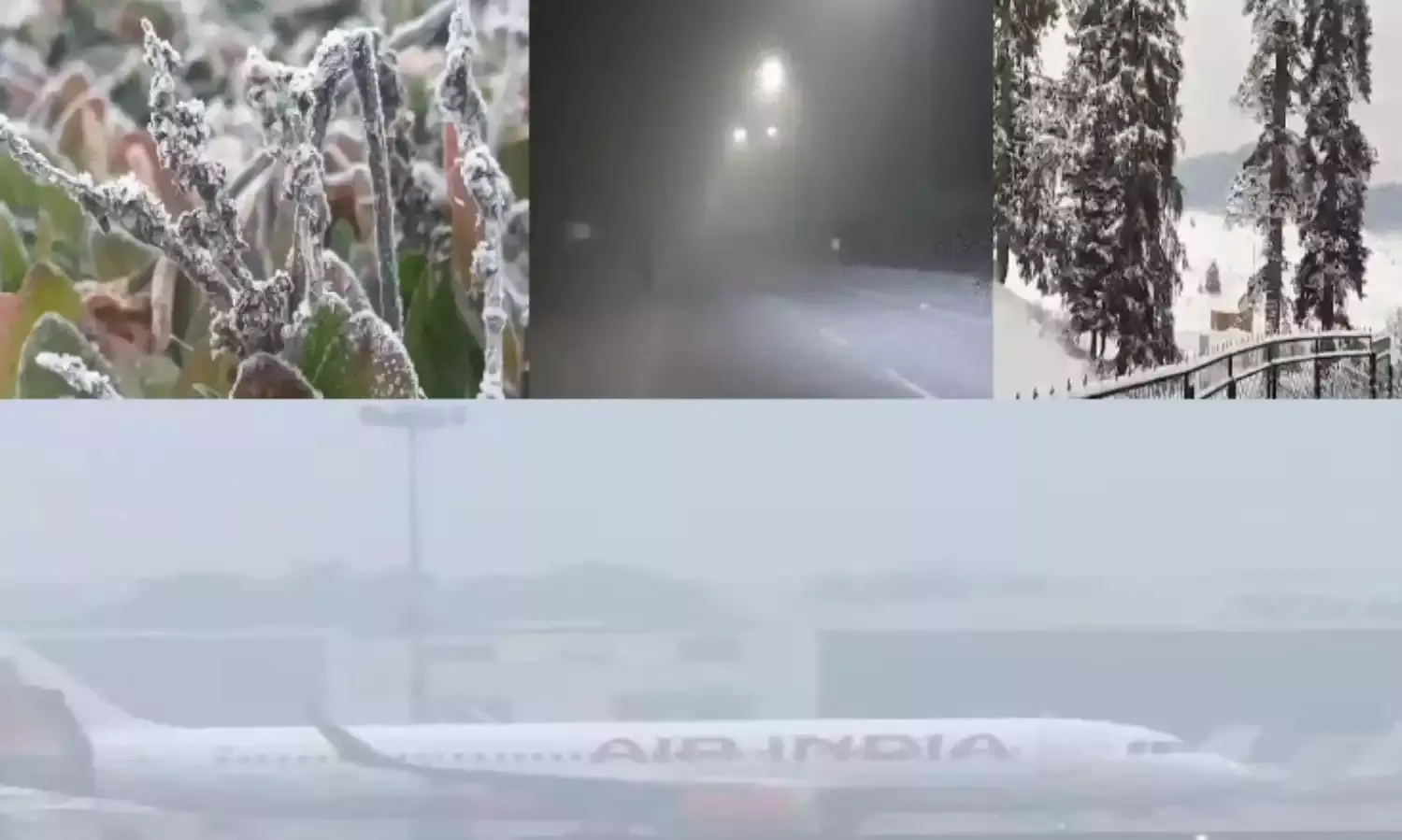 उत्तरभारत में कड़ाके की ठंड: MP में घना कोहरा, 19 जिलों में स्कूल बंद, फ्लाइट और ट्रेनों पर असर