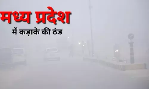 मध्यप्रदेश शीतलहर अलर्ट: पचमढ़ी में जमी बर्फ, नौगांव में 1 डिग्री तापमान; 19 जिलों में स्कूल बंद