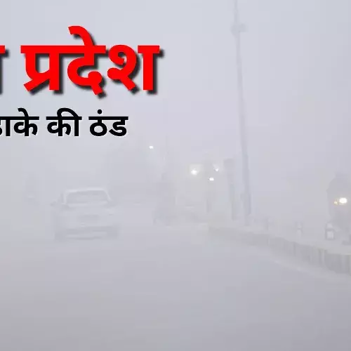 मध्यप्रदेश शीतलहर अलर्ट: पचमढ़ी में जमी बर्फ, नौगांव में 1 डिग्री तापमान; 19 जिलों में स्कूल बंद