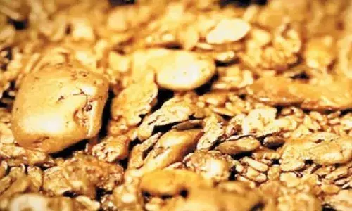 सोने की खदान की जनसुनवाई सैंकड़ों किमी दूर अंग्रेजी के अखबार में सूचना