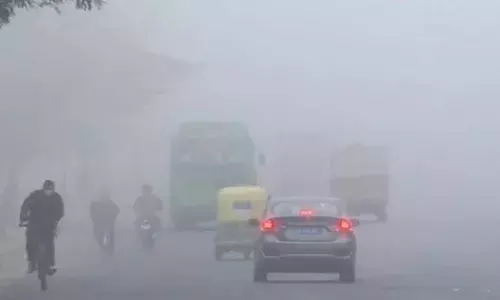 एमपी में कोहरा और कड़ाके की ठंड का कहर, स्कूल बंद और ट्रेनें प्रभावित