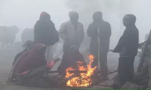 मध्यप्रदेश में कड़ाके की ठंड, शहडोल में पारा 2.7°C तक गिरा