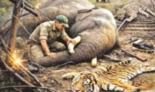 जंगल सुरक्षित, वन्यजीव असुरक्षित: बाध शिकार और तस्करी के आंकड़े कर रहे व्यवस्था पर वार