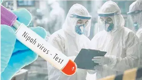 निपाह को लेकर बंगाल में अलर्ट, 21 दिनों का क्वारंटाइन अनिवार्य