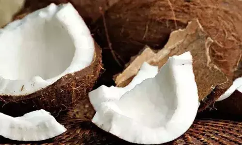 नारियल खाने के ये चौंकाने वाले फायदे, जानने के बाद आप भी रह जाओगे दंग