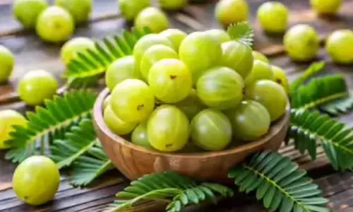 सर्दियों का सुपरफूड: आंवला खाने के 5 चमत्कारी फायदे