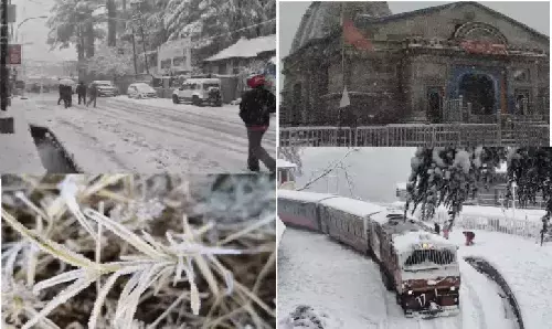 उत्तर भारत में सर्दी का कहर: राजस्थान में पारा 10° तक गिरा, हिमाचल-उत्तराखंड में भारी बर्फबारी