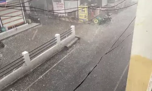 बारिश, कोहरा और तेज हवाएं: उत्तर भारत में मौसम का तिहरा अलर्ट!