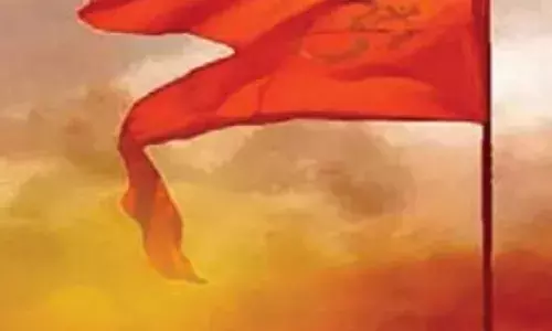 बहुवचन की राजनीति और समरसता