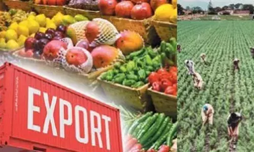 WTO रिपोर्ट: कृषि निर्यात में भारत की बड़ी उड़ान, टॉप-10 देशों में मजबूत मौजूदगी