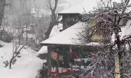 राजस्थान-एमपी में ओले, यूपी के 30 जिलों में कोहरा; हिमाचल के मनाली में बर्फबारी