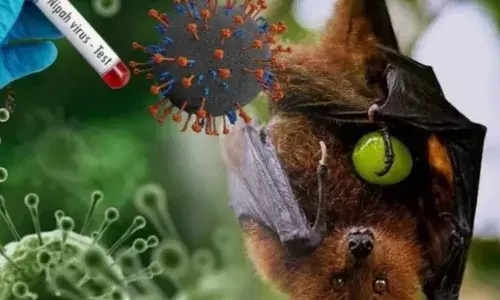 निपाह वायरसः खतरनाक संकेत