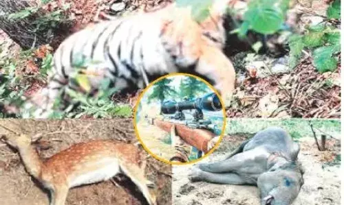 शिकार रोकने में फेल वन विभाग, अब गांवों में ‘सामाजिक सजा’ का प्रयोग