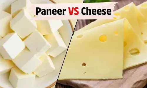 पनीर VS चीज़: कौन सा है ज्यादा हेल्दी और एनर्जी बूस्टिंग?