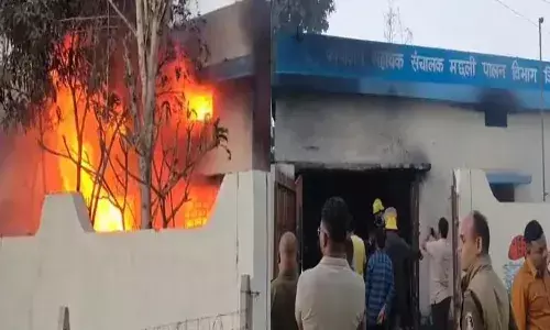 रायगढ़ में मछली पालन विभाग के रिकॉर्ड रूम में भीषण आग