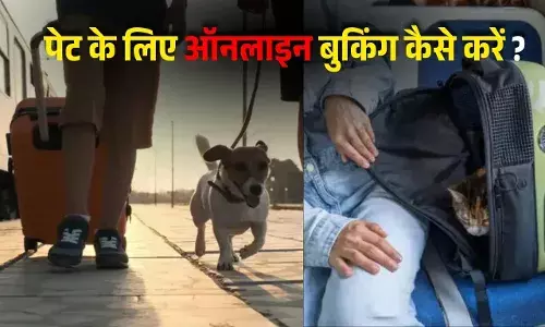 अब ट्रेन में पेट एनिमल ले जाना हुआ आसान, ऑनलाइन बुकिंग कैसे करें? जानें पूरा प्रोसेस