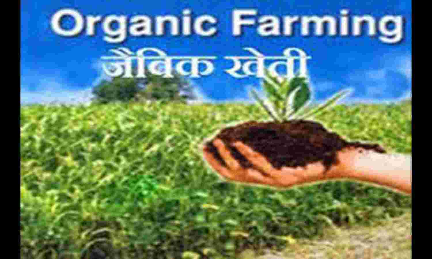 जैविक खेती की ओर लौट रहे किसान