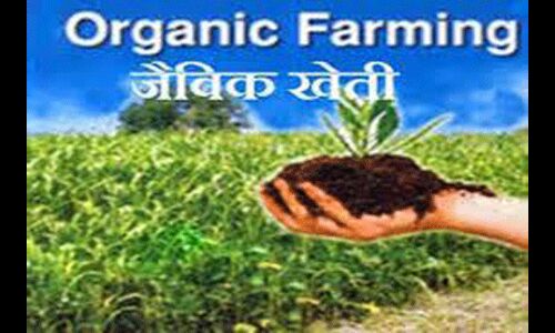 जैविक खेती की ओर लौट रहे किसान